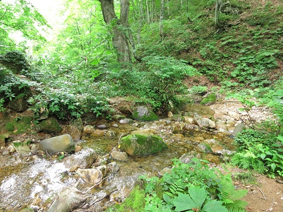 赤湯温泉山口館ルートの様子