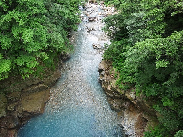 赤湯温泉山口館林道からの川の景色