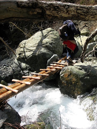 運が良いと丸太橋がある