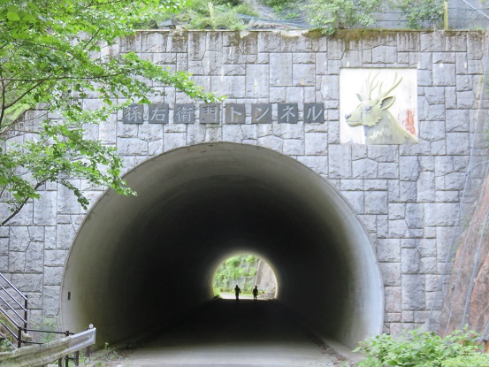 神之川ヒュッテから檜洞丸北尾根入口まで暫く林道歩き