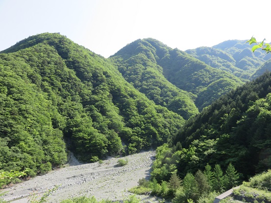 西丹沢はヤマビルが少ない