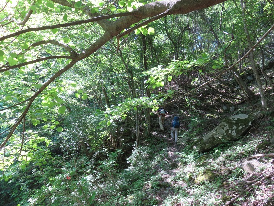 檜洞丸北尾根のスタート地点（取付地点）