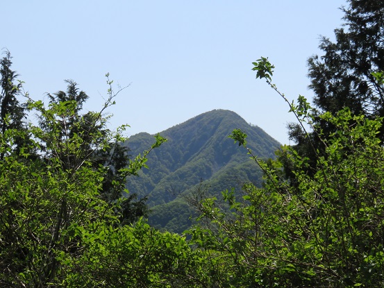 丹沢山塊最高峰の蛭ヶ岳が綺麗