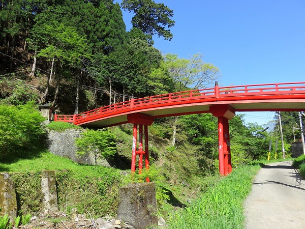 極楽橋駅から戻る感じに進むと高野山のルートがある