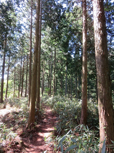 高野山までのコースの様子