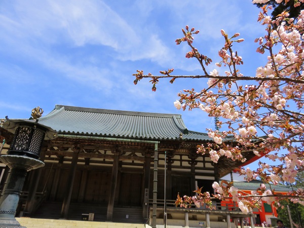 高野山金堂