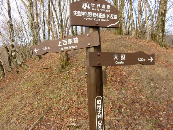 伯母子岳から上西家（三浦峠方面）へのルート分岐