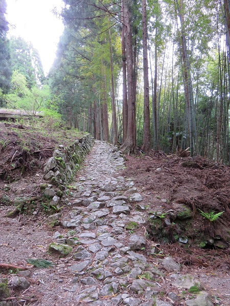 小辺路の石畳