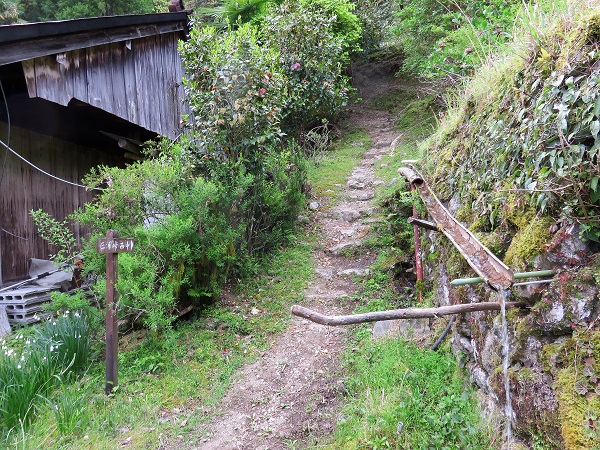 小辺路縦走路の水場