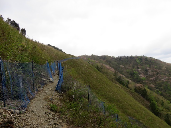 小辺路ルート状況