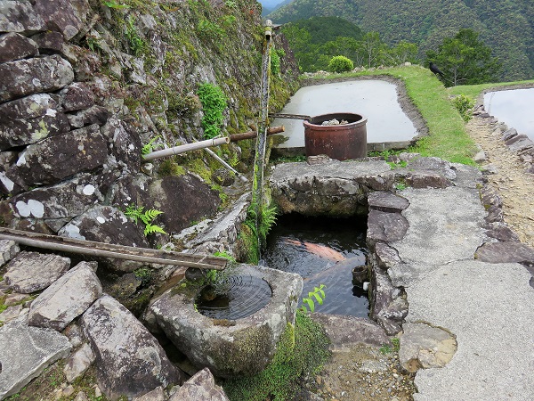 果無集落の水場