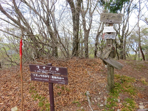 果無山脈ブナノ平