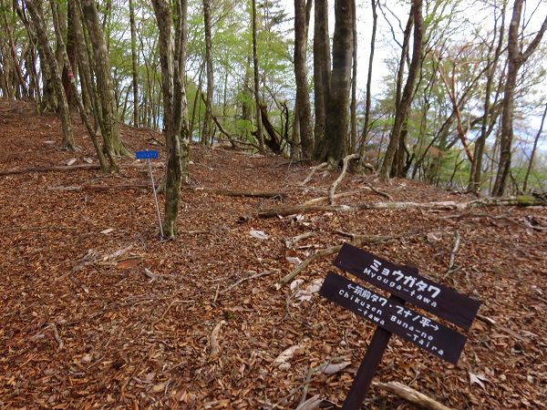 果無山脈の縦走路上の踏み跡が薄いとマーキング