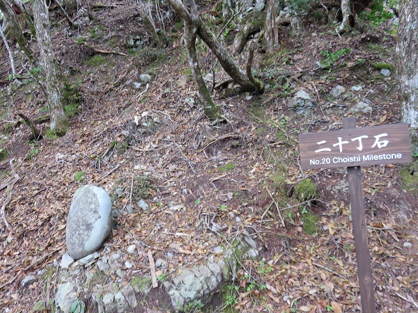 熊野古道小辺路テント泊縦走と熊野本宮大社ルート