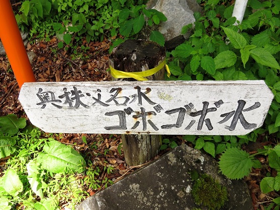 名水ゴボゴボ水