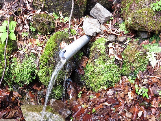 ゴボゴボ水水量豊富