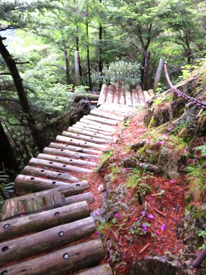 雁坂小屋が近づくと左側が深く切れ落ちた木道歩きになる