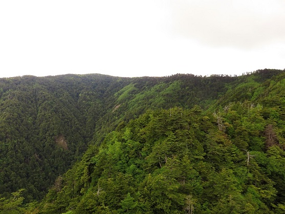 奥秩父縦走路の稜線景色