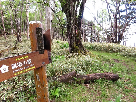 雁坂小屋から水晶山近くに出る道を使って奥秩父主脈縦走路合流