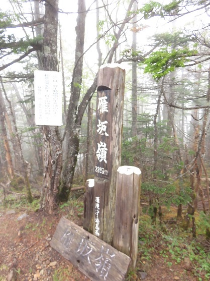 雁坂峠から雁坂嶺登山