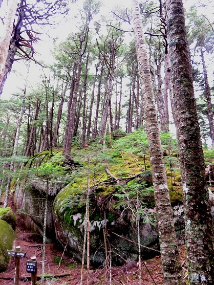 武信白岩山周辺景色