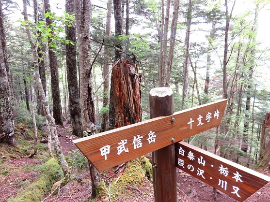 と十文字小屋への分岐