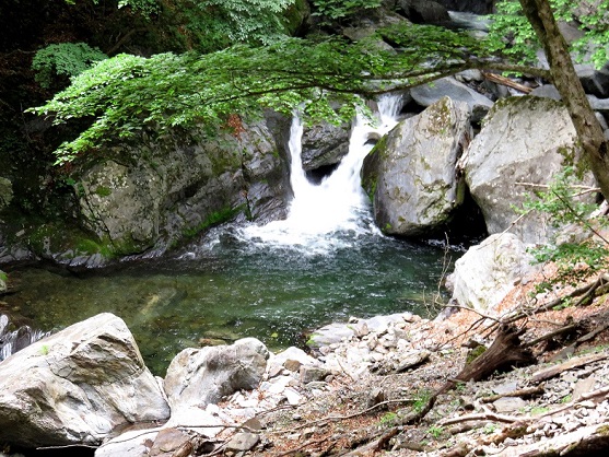 赤沢吊橋水も綺麗