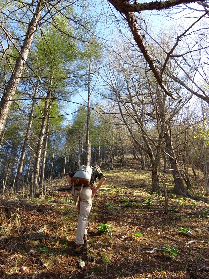 チョキ登山急登