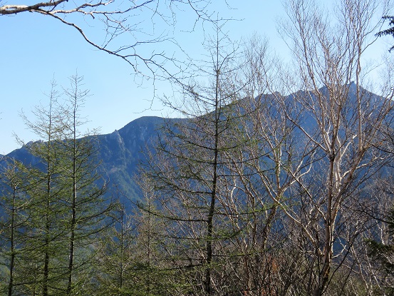 目指す金峰山