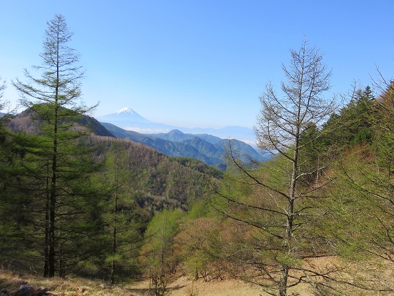 八幡尾根美林