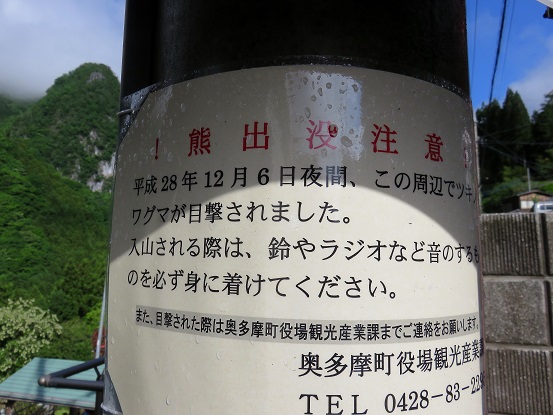 稲村岩尾根クマの目撃出没情報