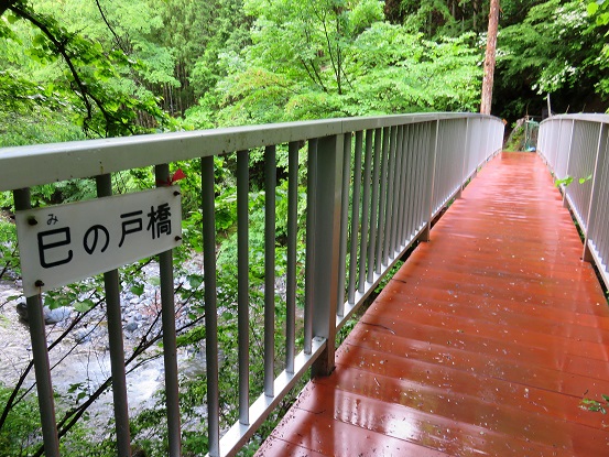 稲村岩尾根から鷹ノ巣山登山