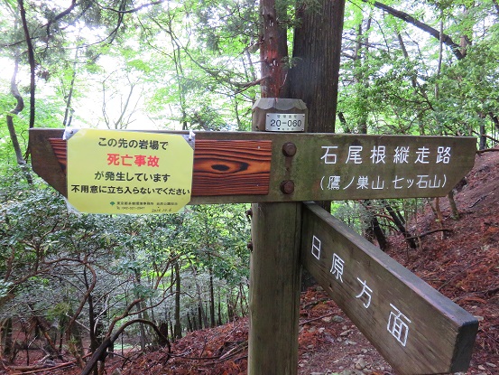 稲村岩と鷹ノ巣山分岐