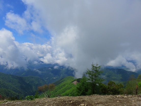 鷹ノ巣山山頂