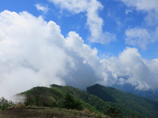 鷹ノ巣山から六ツ石山へ至る稜線景色