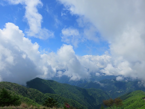 鷹ノ巣山周辺の景色ガスガス