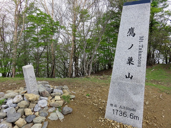 鷹ノ巣山の標高は１,７３６．６ｍ