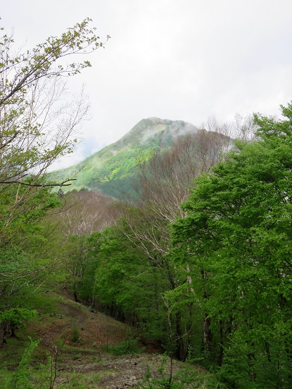 千本ツツジ日陰名栗山が見えてきた
