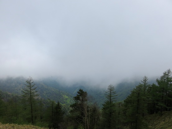雲取山天気が悪い