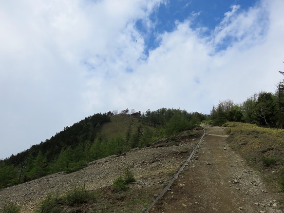 目指す雲取山