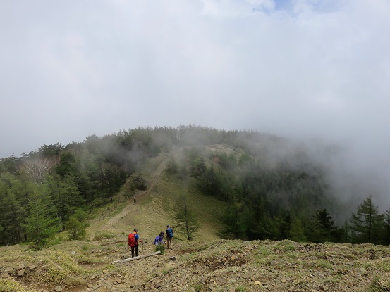 雲取山登山道の様子