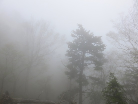 雲取山荘周辺の天気