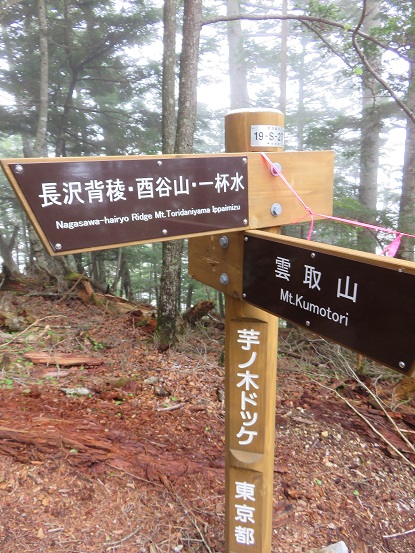 芋ノ木ドッケ山頂