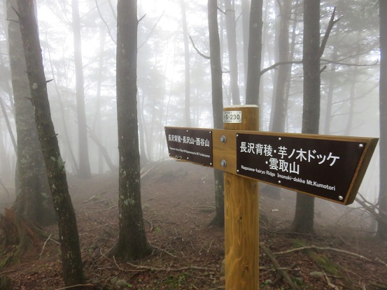 長沢背稜の登山コース