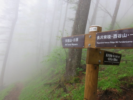 長沢山から天祖山分岐
