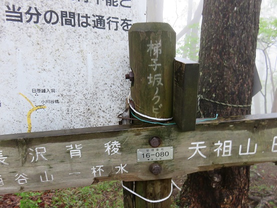 天祖山手前の梯子坂ノクビレ