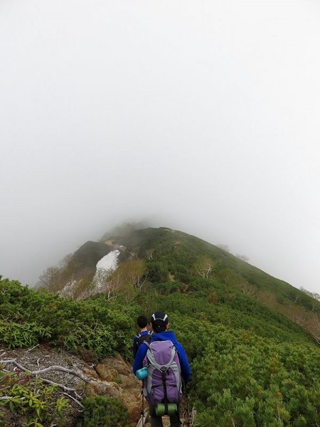 f:id:aohige0718:20170528160502j:plain f:id:aohige0718:20170528160502j:plain