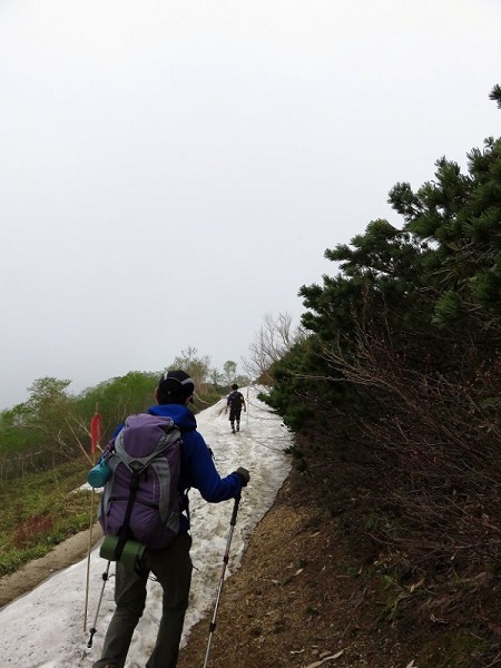 f:id:aohige0718:20170528160512j:plain f:id:aohige0718:20170528160512j:plain