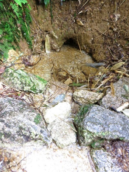 f:id:aohige0718:20170528160622j:plain f:id:aohige0718:20170528160622j:plain