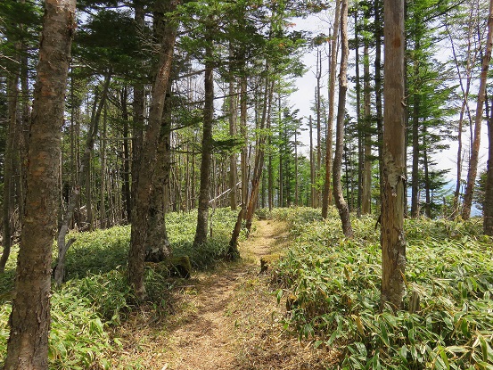 平久保池と戸屋山登山ルート